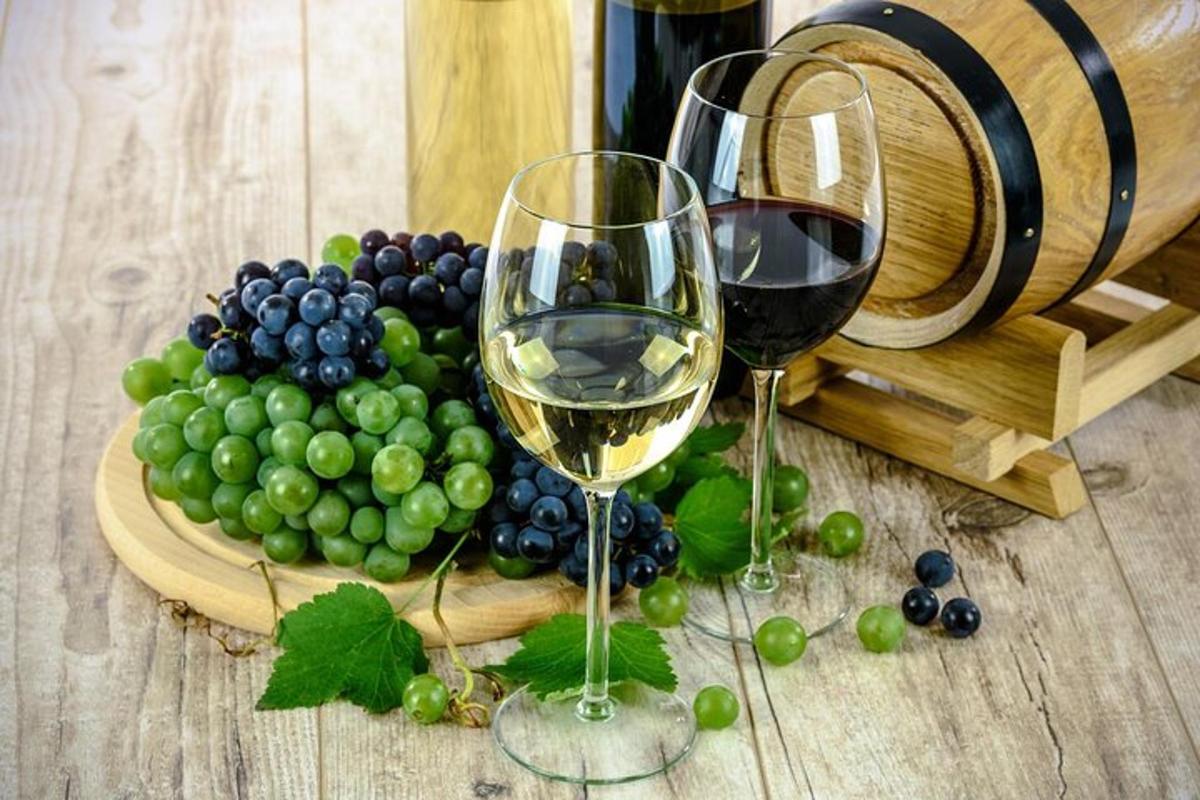 two glasses of wine next to a plate of grapes