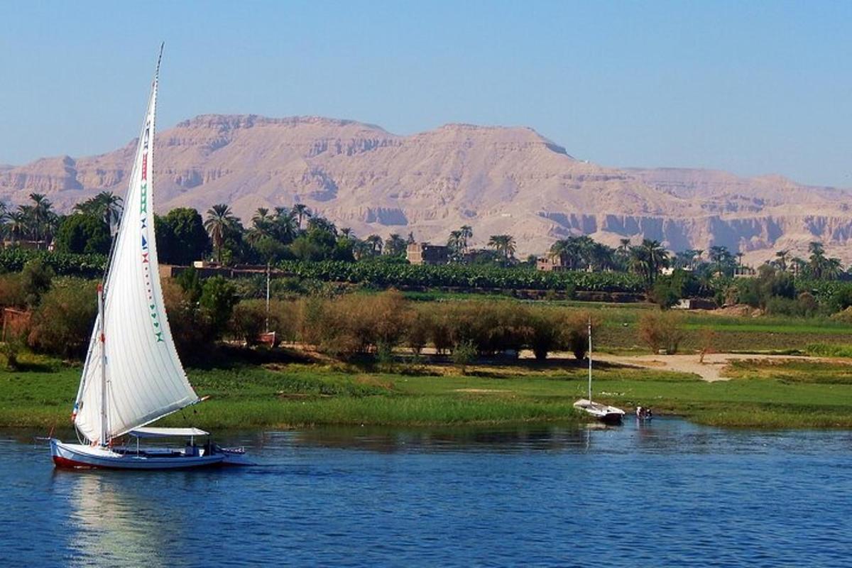 una barca con una vela bianca sull'acqua