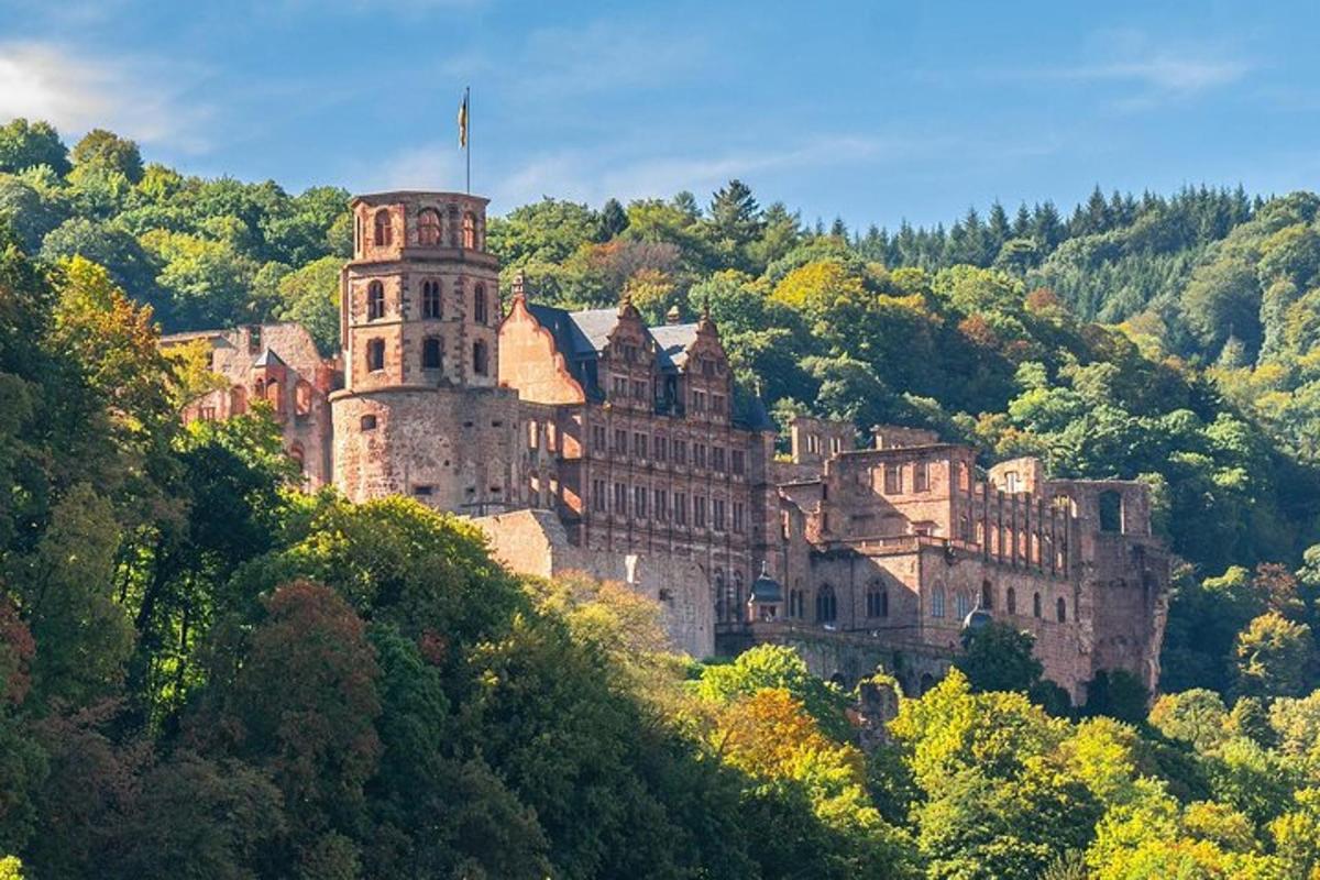 un castel vechi pe vârful unui deal cu copaci