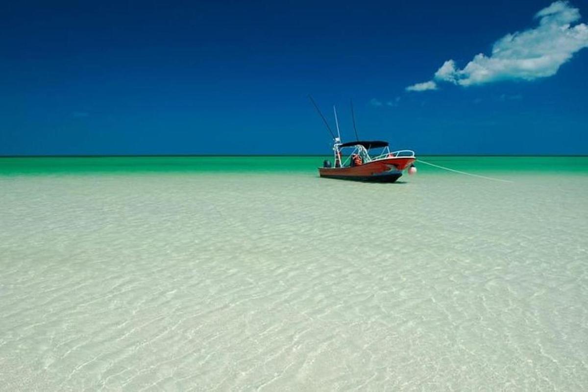 bot duduk di atas pasir di lautan