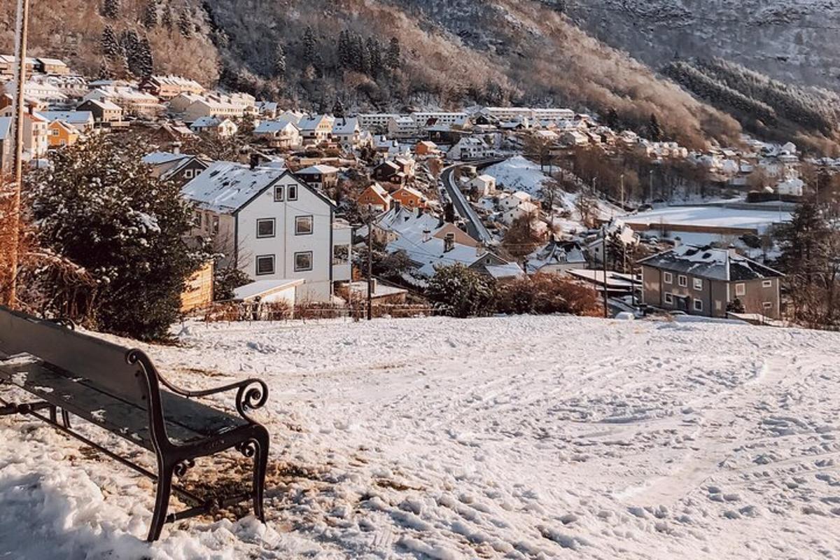 a bench sitting on a hill in the snow