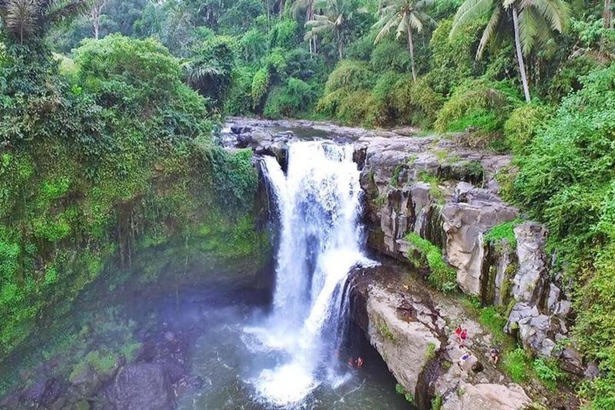una cascata nel mezzo di una giungla