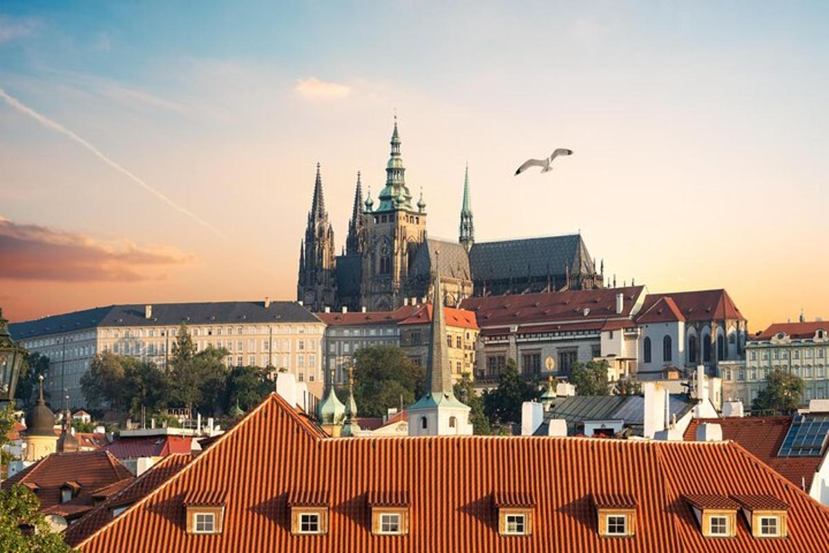 pohled na město s ptákem letícím na obloze