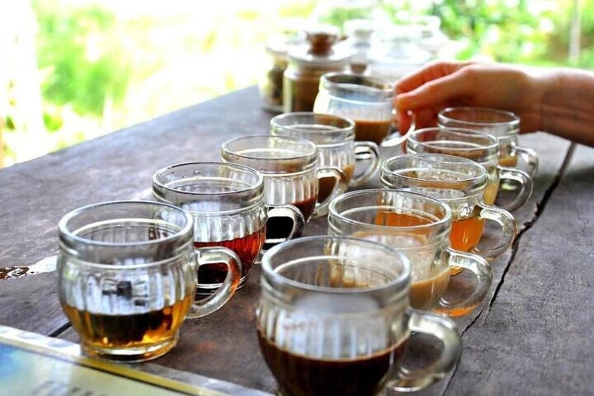 桌上的一组啤酒杯