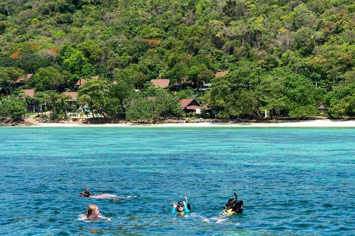 un gruppo di persone che nuotano in uno specchio d'acqua
