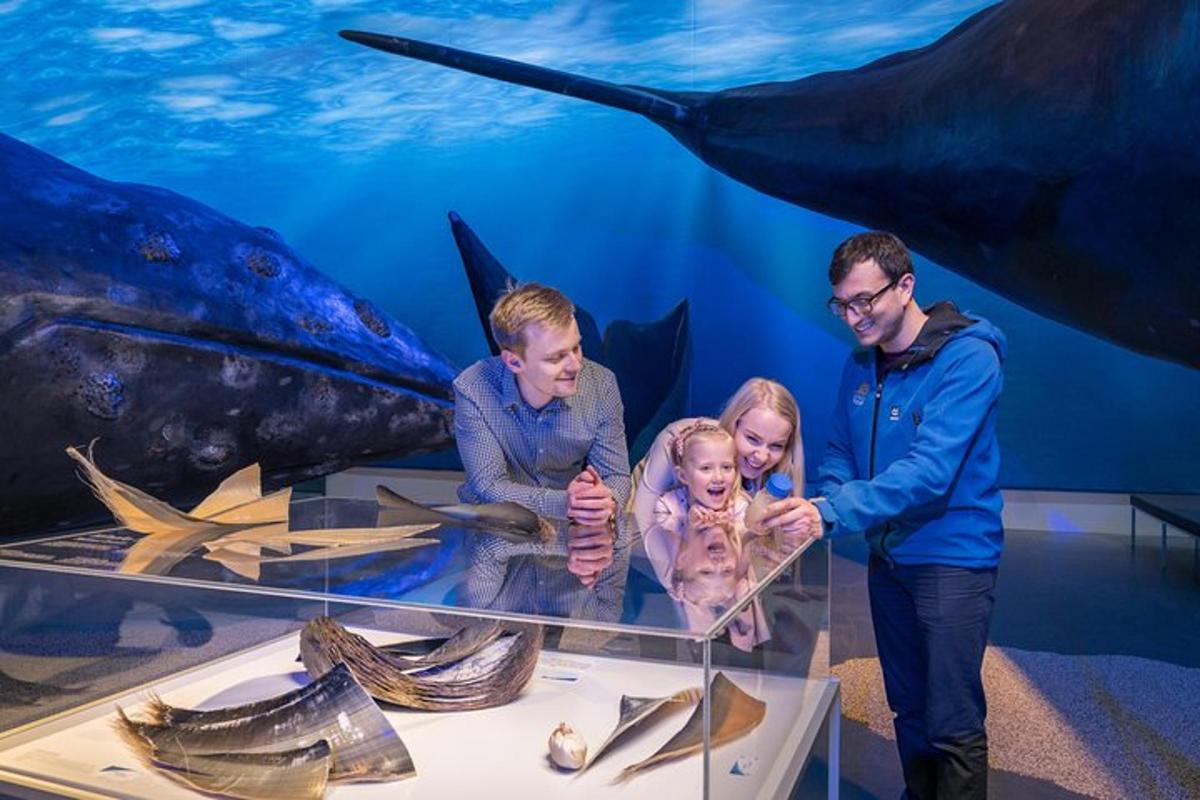 dva muži a dvě děti si prohlížejí expozici v akváriu