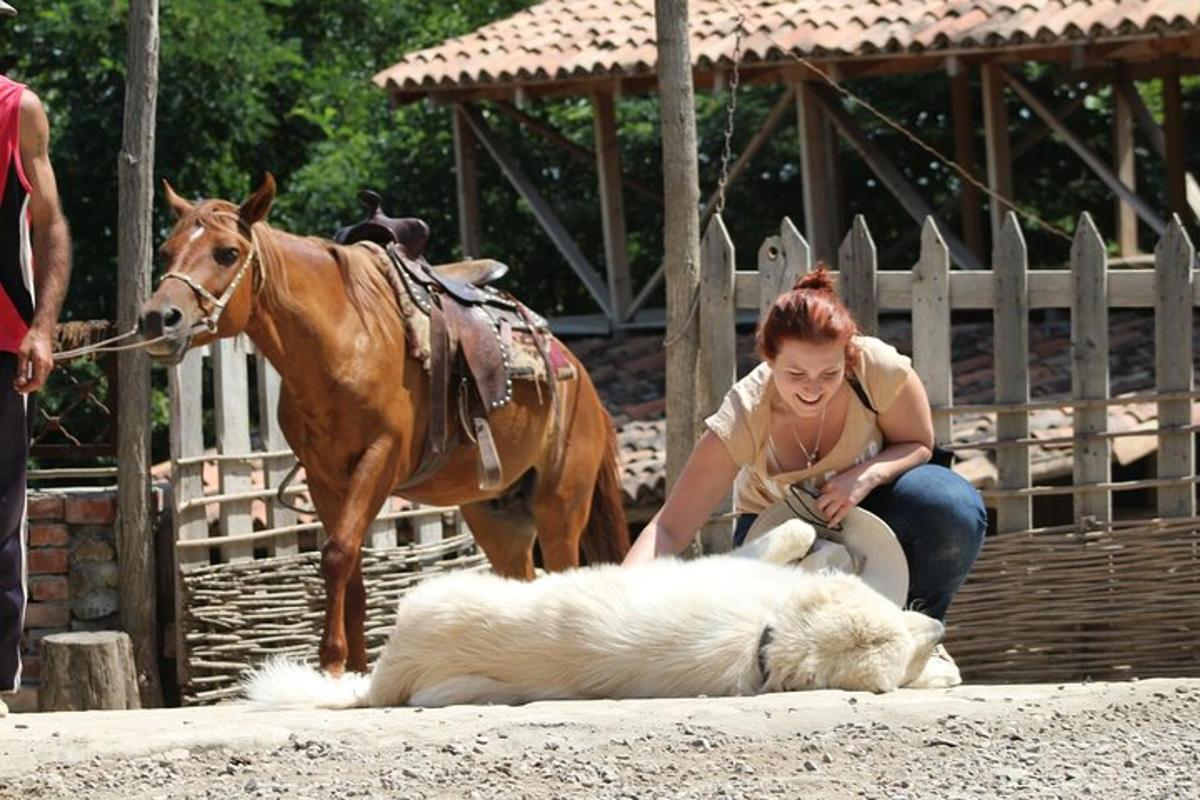 una donna che accarezza un cane accanto a un cavallo