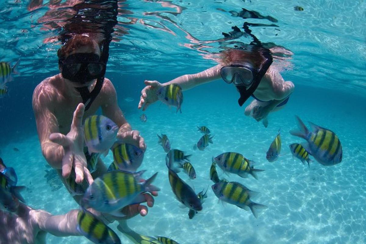 twee mensen in het water kijken naar vissen