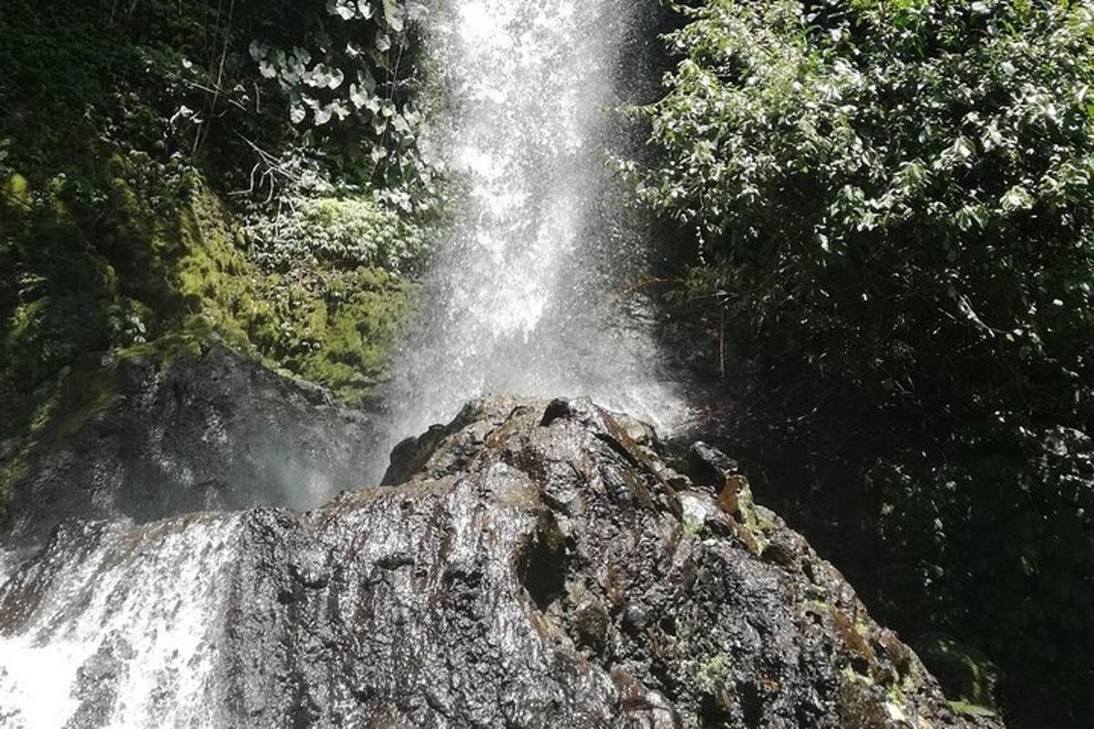 a waterfall in the middle of a forest