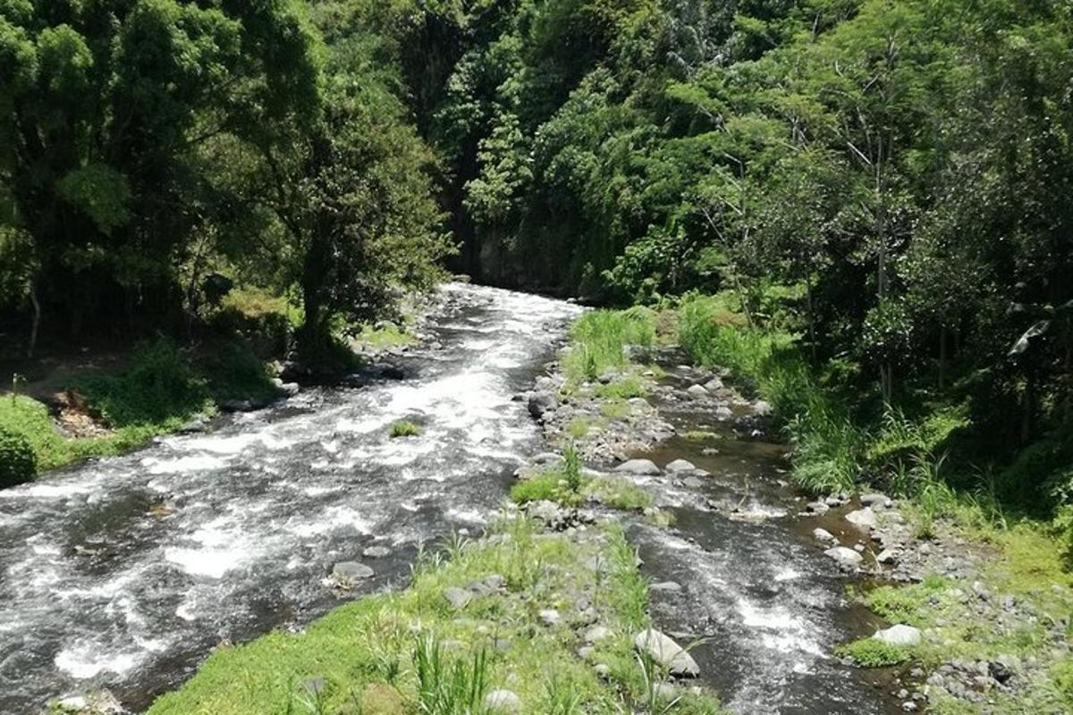 a river with rocks and trees on the side