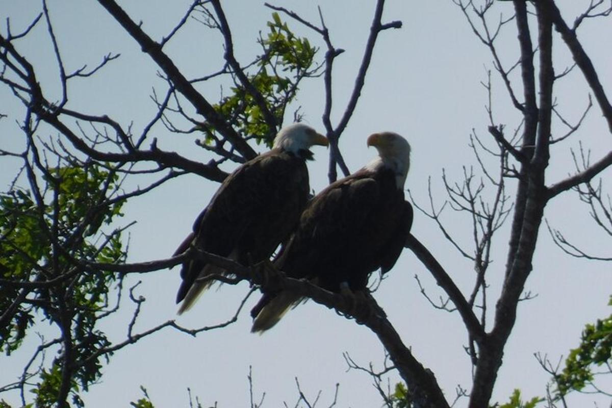 Fotografie atrakce č. 4