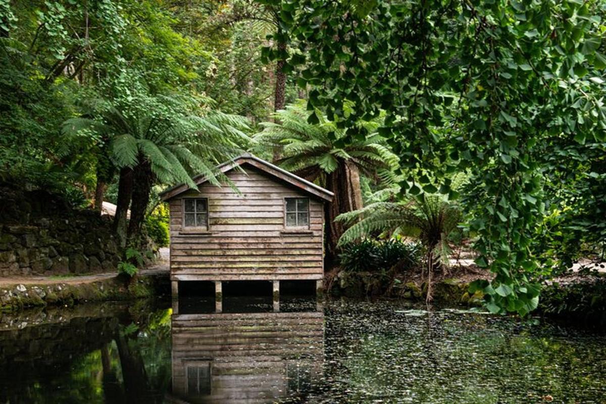 een klein huisje midden in een rivier