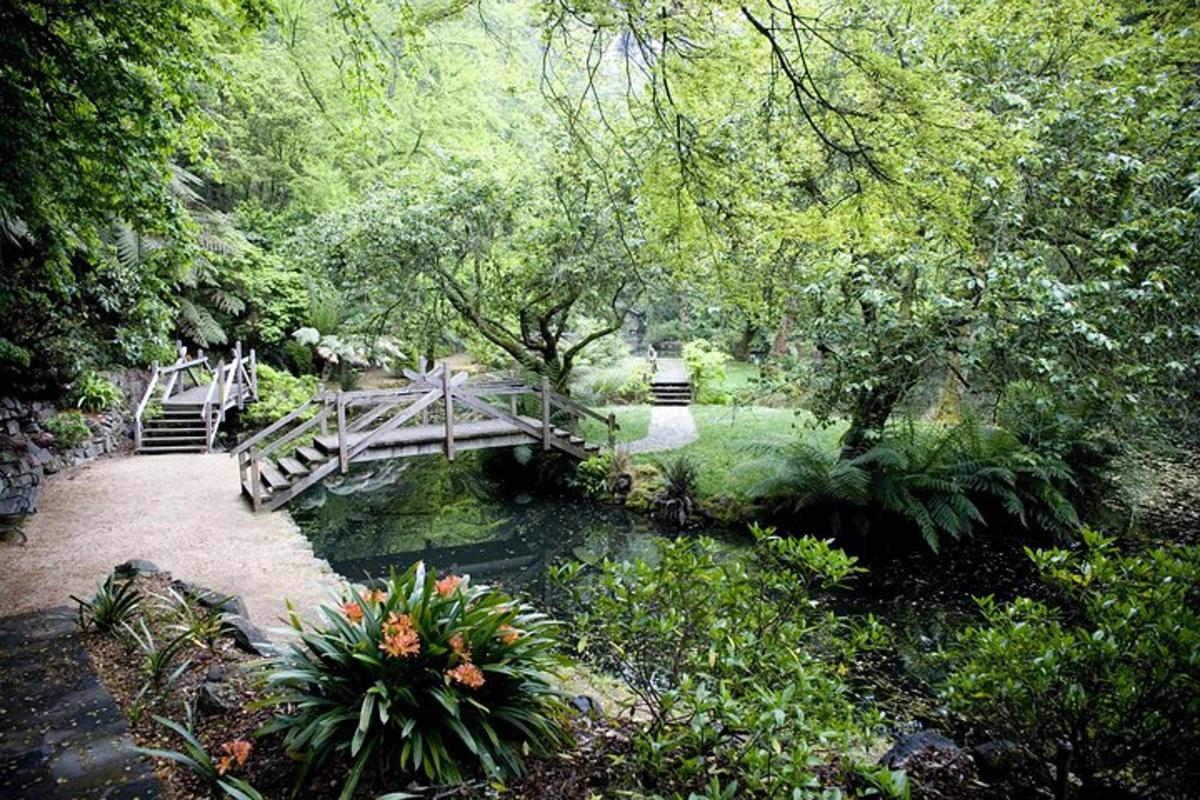 un ponte di legno sopra uno stagno in un giardino