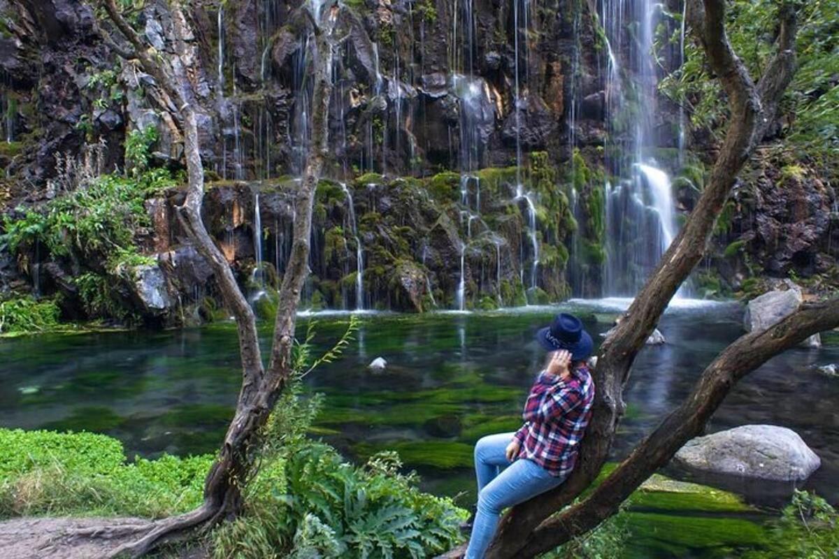 una donna seduta su un albero davanti a una cascata
