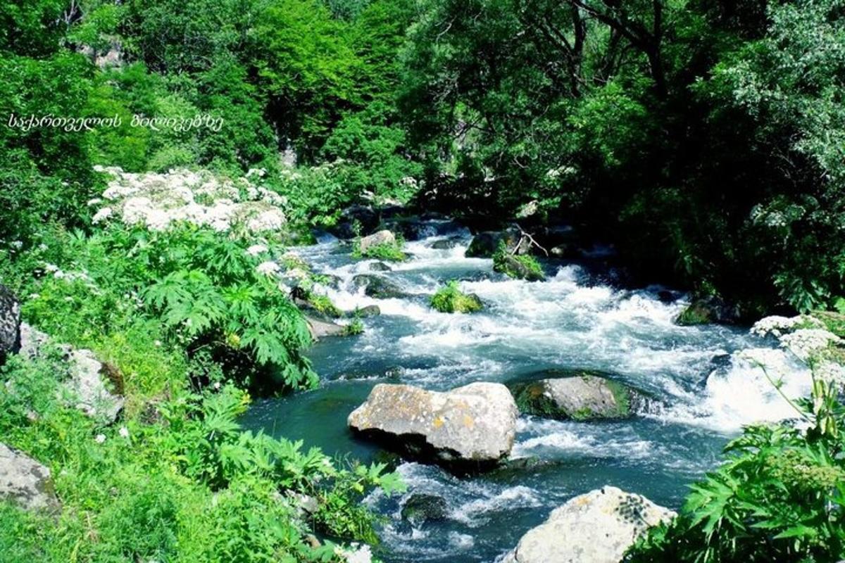 ένα ρεύμα νερού με πέτρες και δέντρα