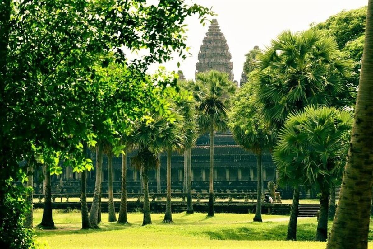 một nhóm cây cọ trước một tòa nhà