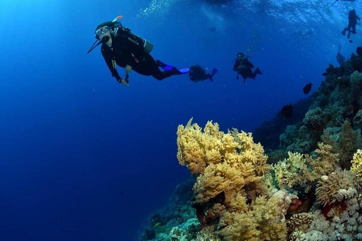 sekelompok orang menyelam di atas terumbu karang