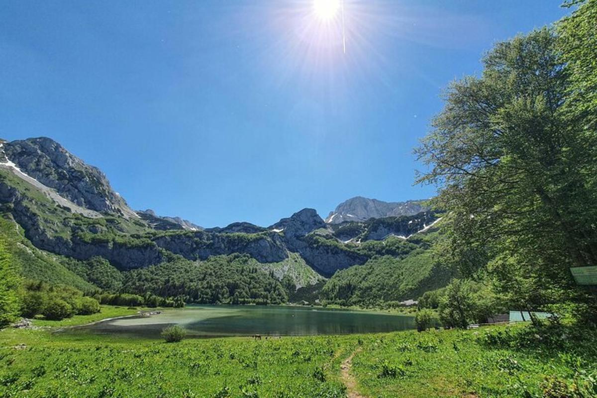jezero uprostřed pole s horami