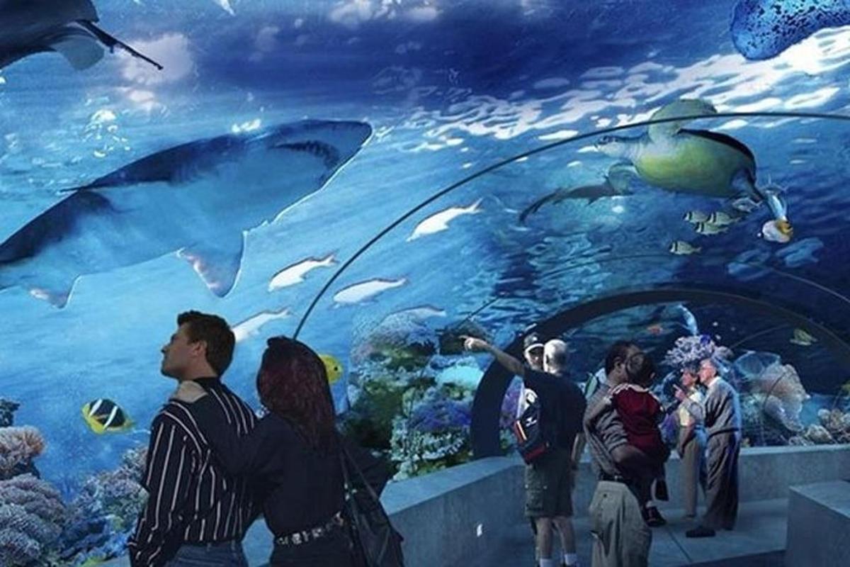 a group of people looking at the fish in an aquarium