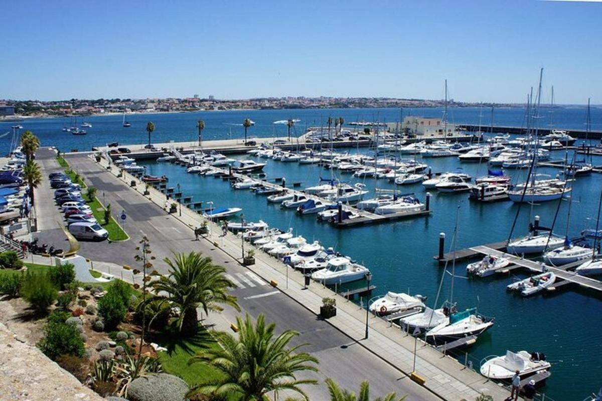 un port esportiu ple de molts vaixells a l'aigua