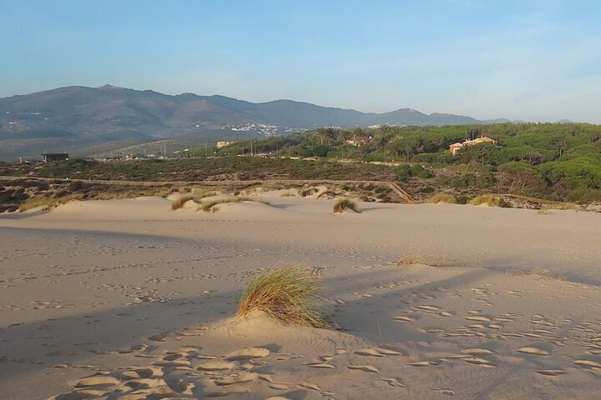 peščena plaža z nekaj trave v pesku