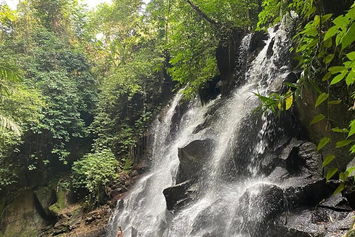 водоспад посеред лісу