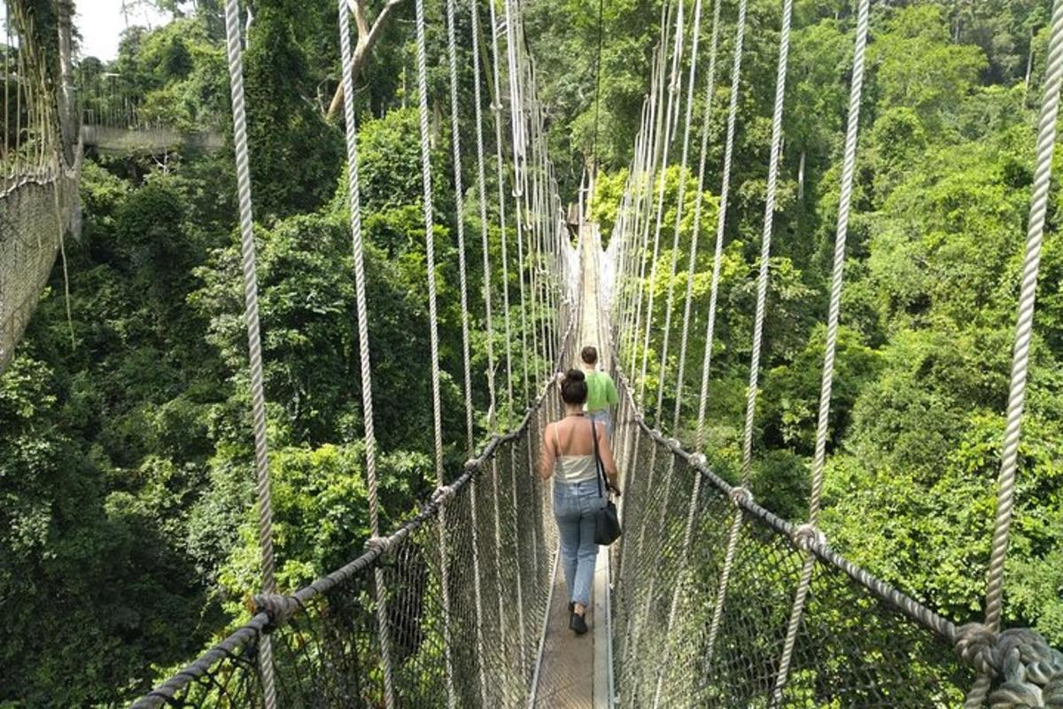 una donna che cammina su un ponte sospeso nella foresta