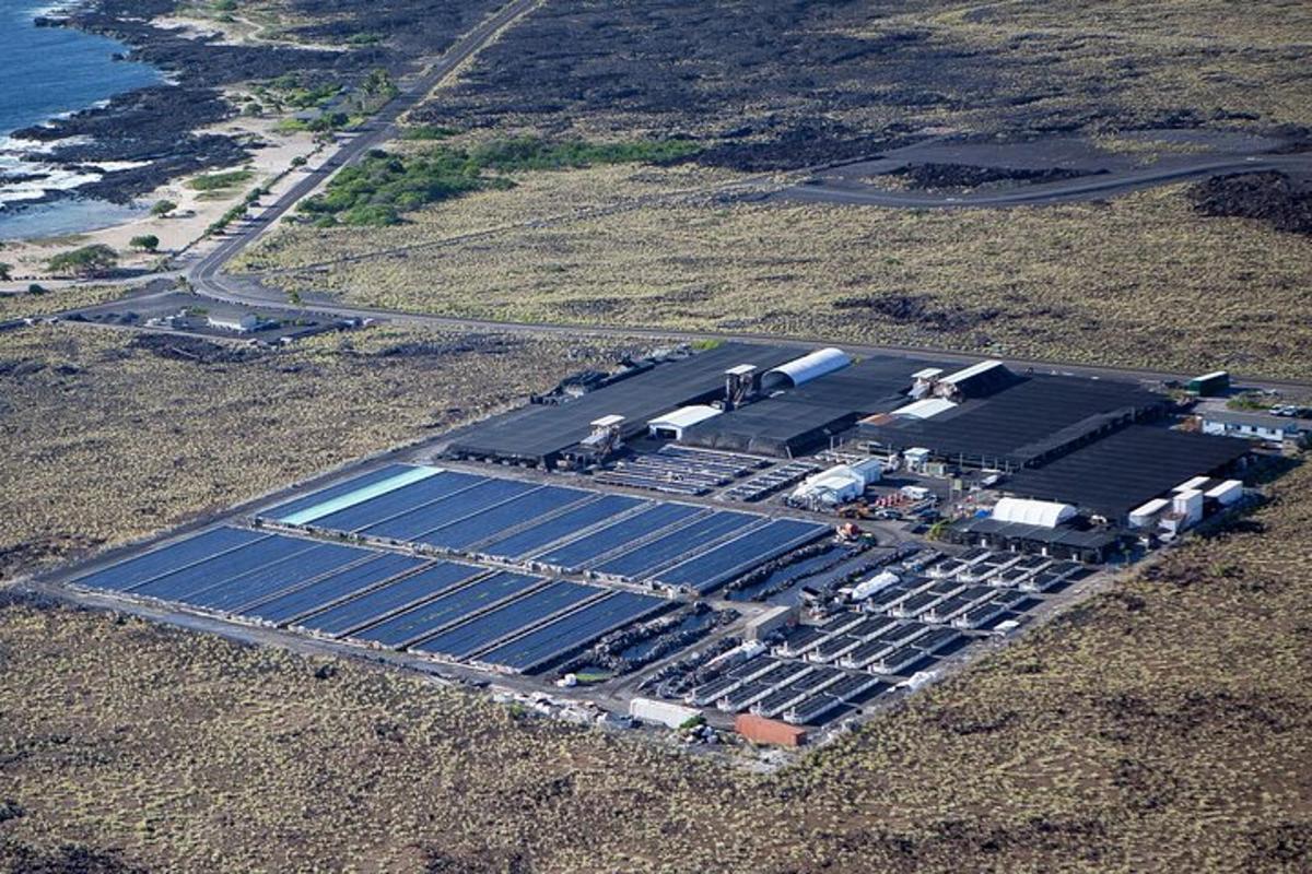 an aerial view of a solar farm next to the ocean
