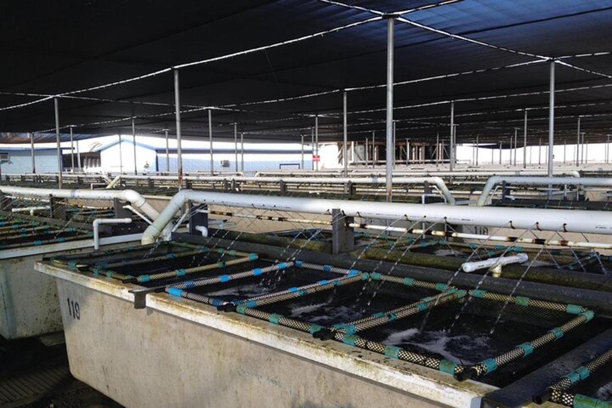 a factory with a lot of water in a trough