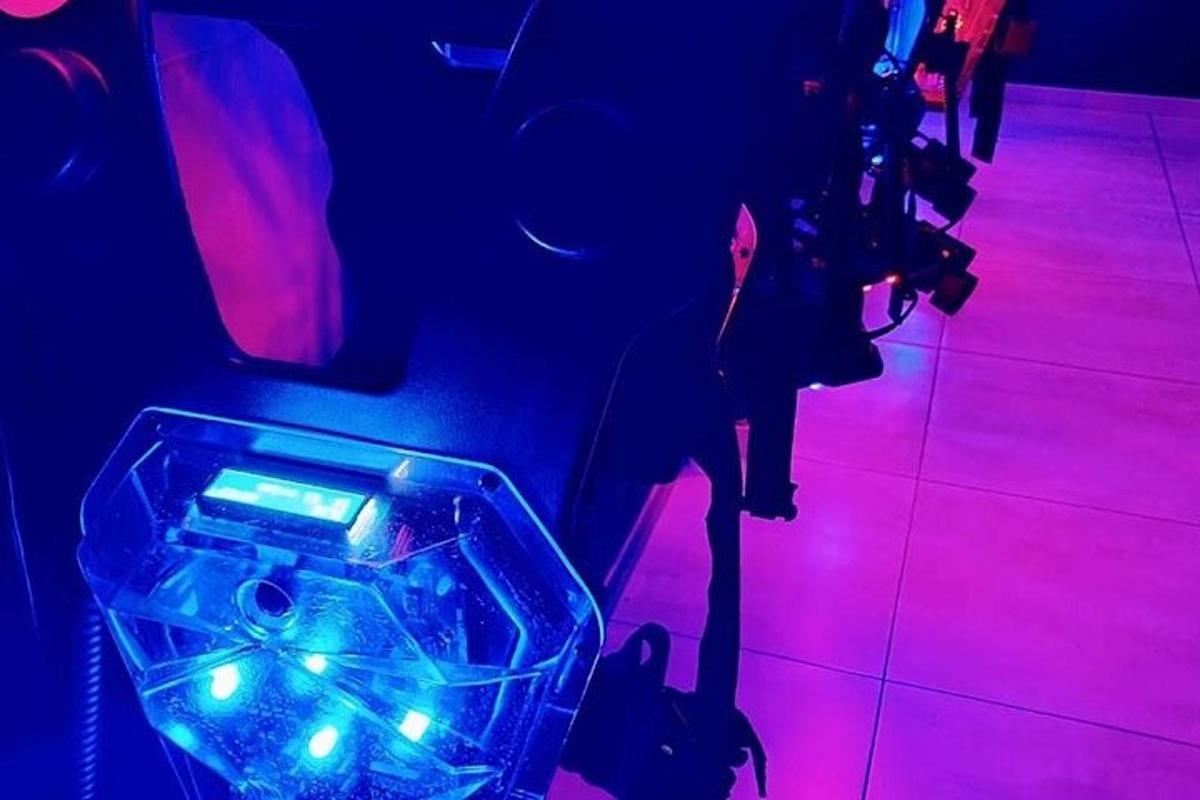 seekor anjing dengan lampu biru dan merah jambu di dalam bilik