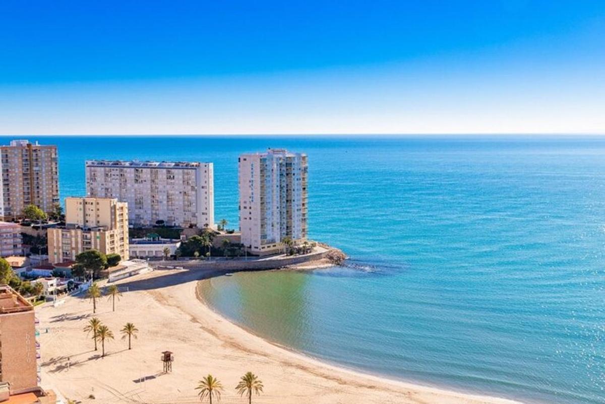 una spiaggia con palme, edifici e l'oceano