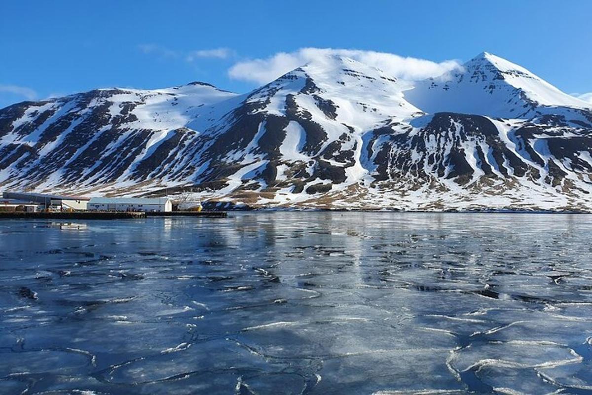 uma montanha coberta de neve com um corpo d'água