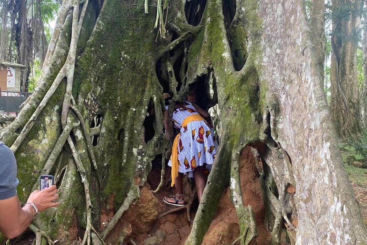 un uomo che scatta una foto a due persone su un ceppo d'albero