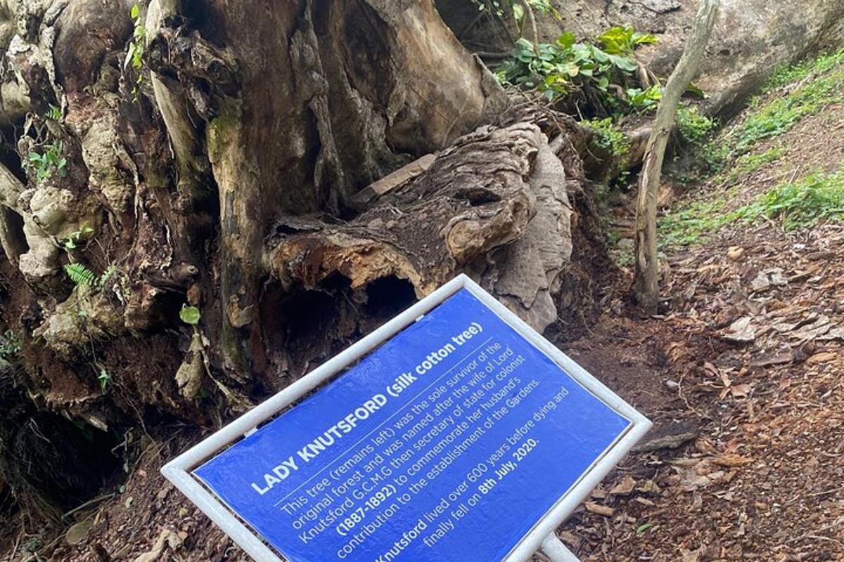 uma placa na frente de um toco de árvore