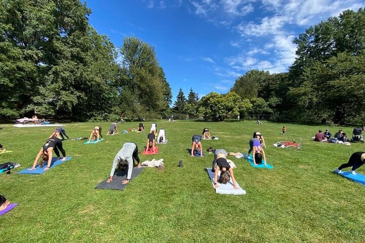 un grup de oameni care fac yoga într-un parc