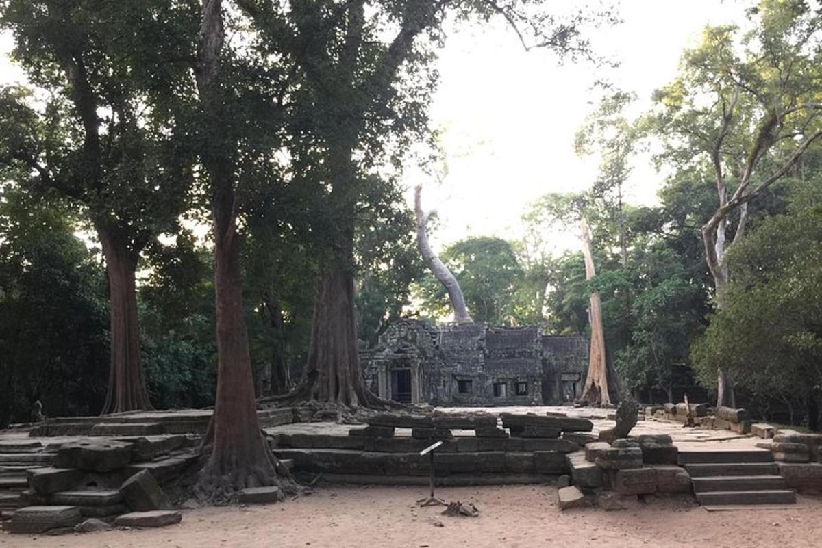 un vecchio edificio con alberi di fronte