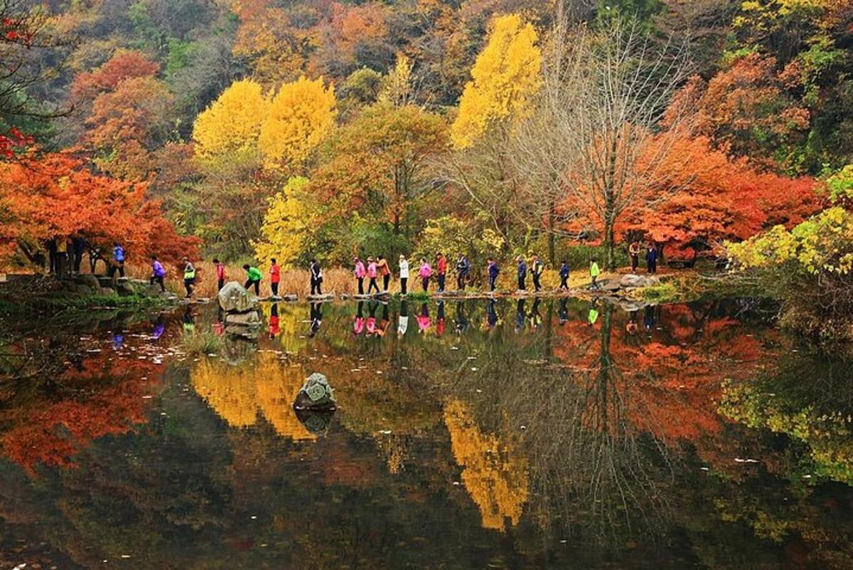 Un grupo de personas caminando por un puente sobre un estanque.