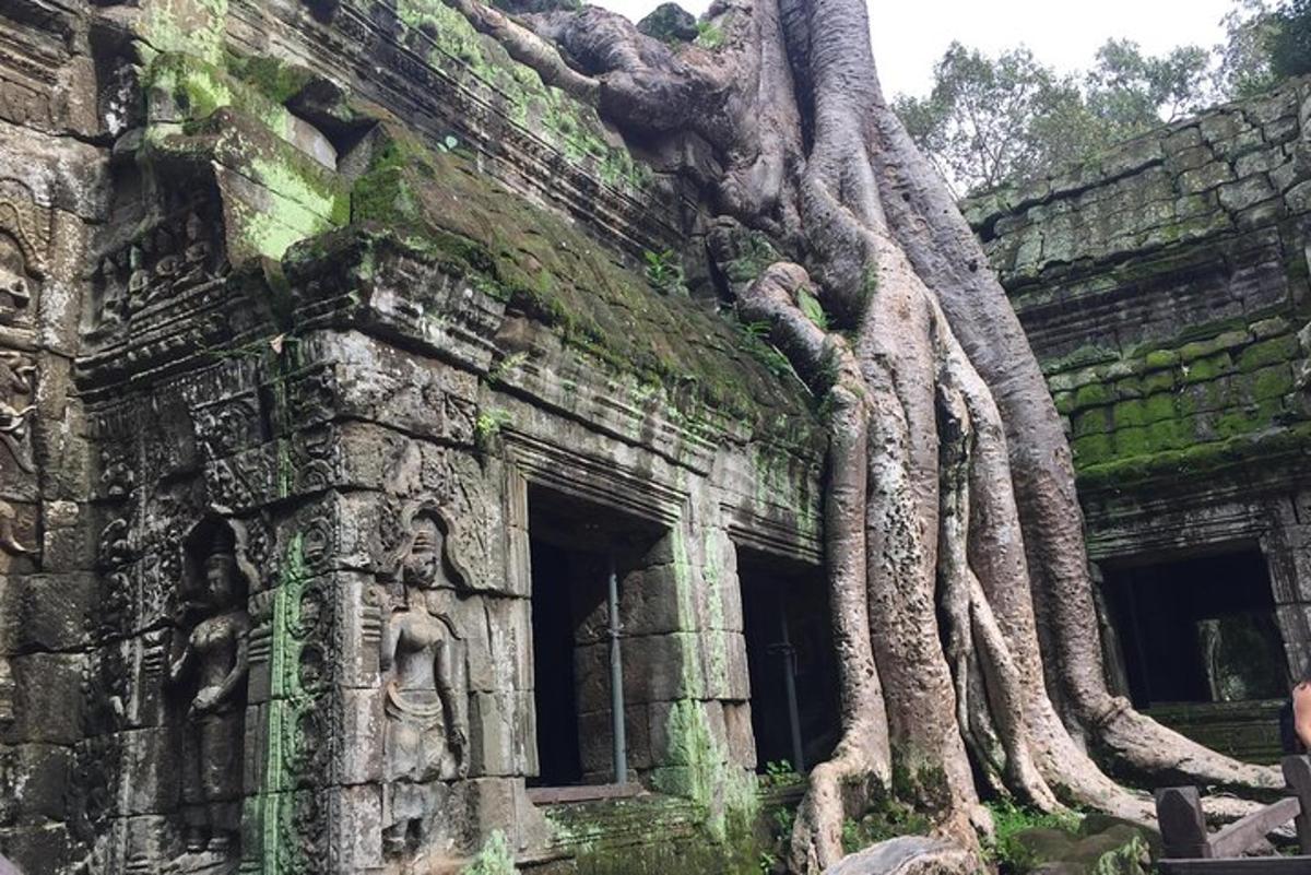un edificio con alberi che crescono ai lati