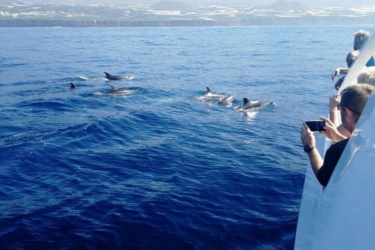 Lankytinos vietos ar pramogos nuotrauka numeris 2