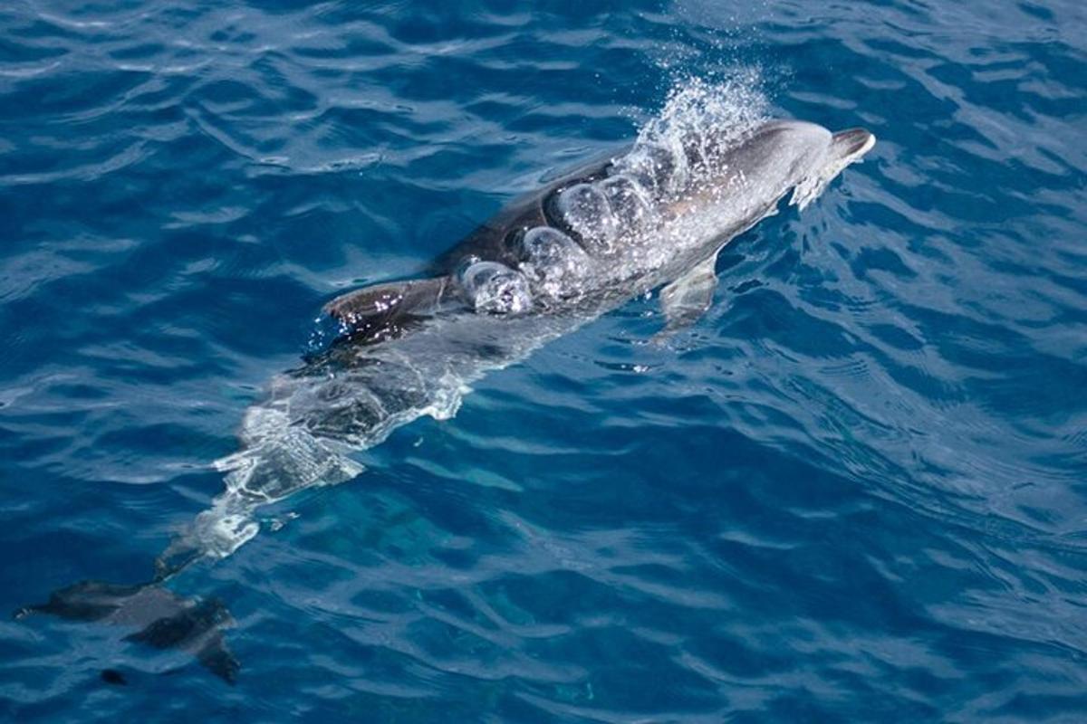 Lankytinos vietos ar pramogos nuotrauka numeris 7