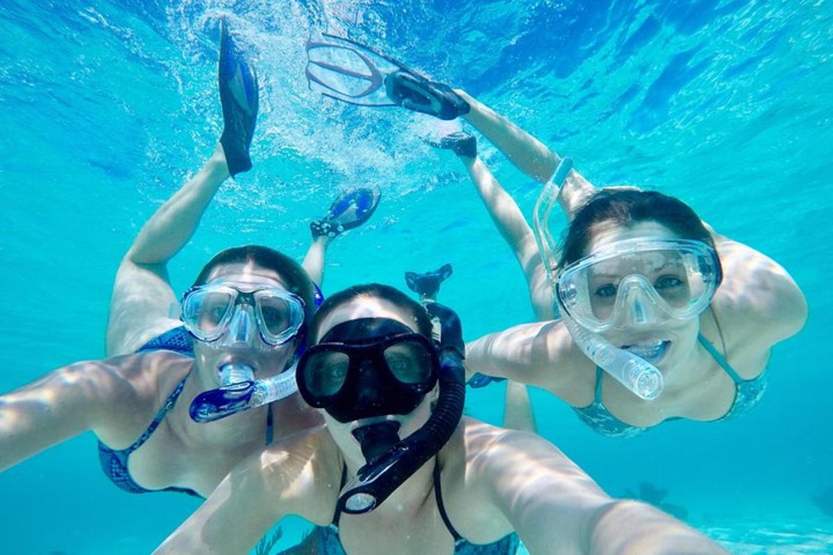 three people in the water wearing masks and diving