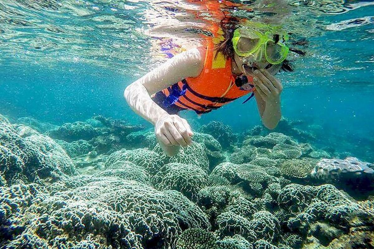 a person in the water over a coral reef