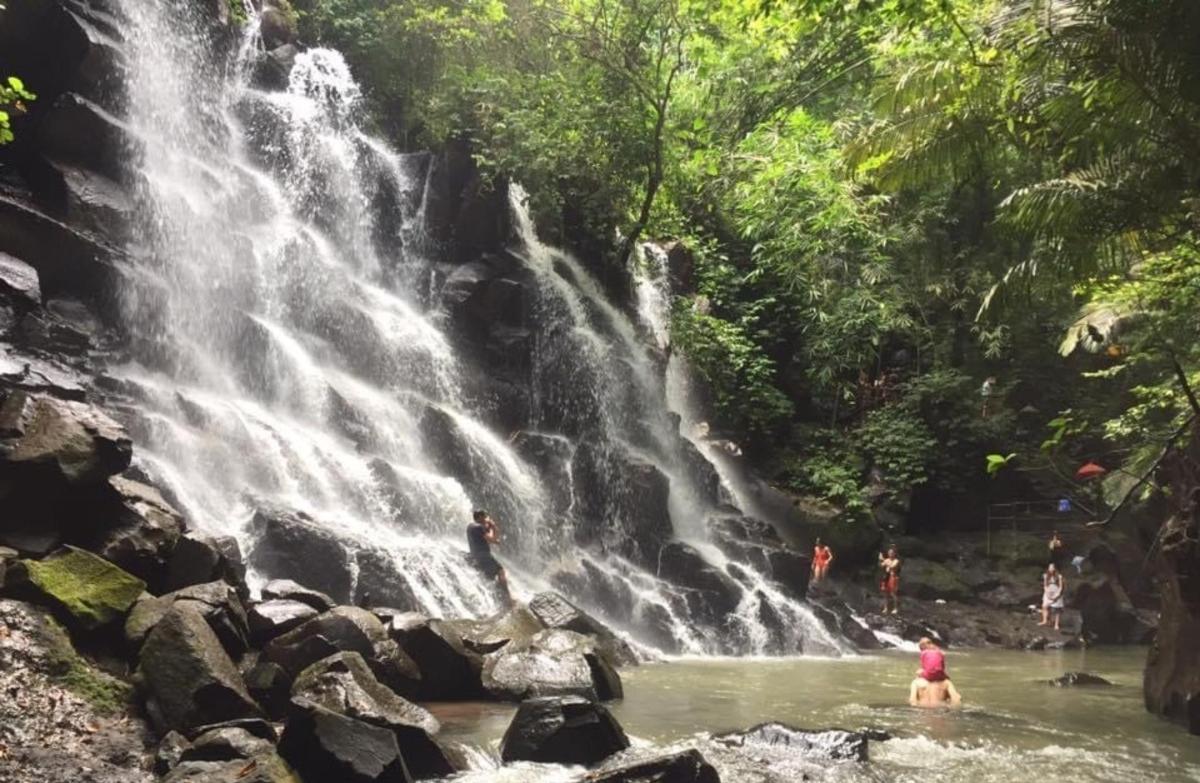Una cascada en la selva con gente en el agua.