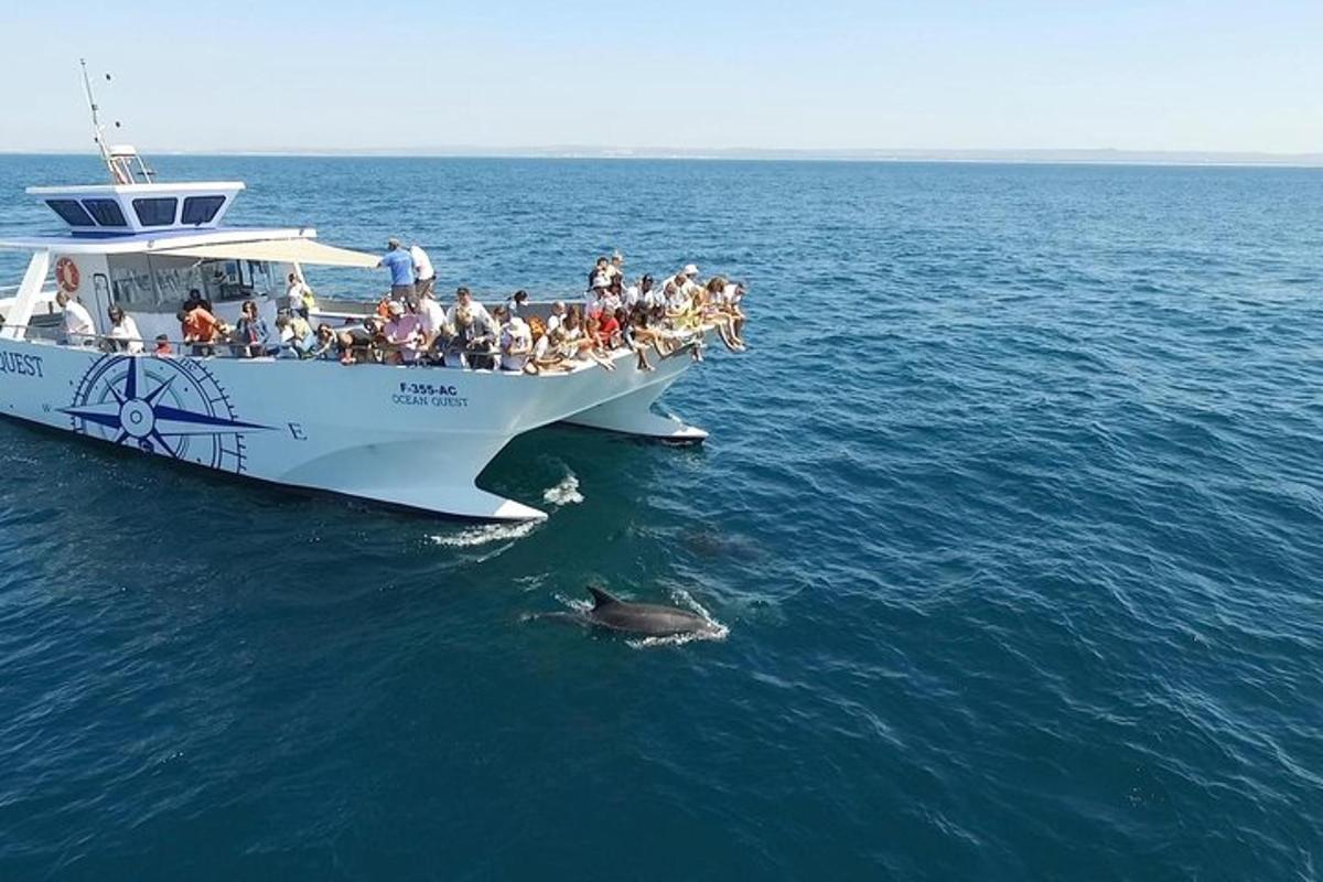 a group of people on a boat with a dolphin in the water