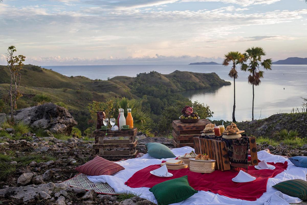a picnic on a hill with a view of the ocean