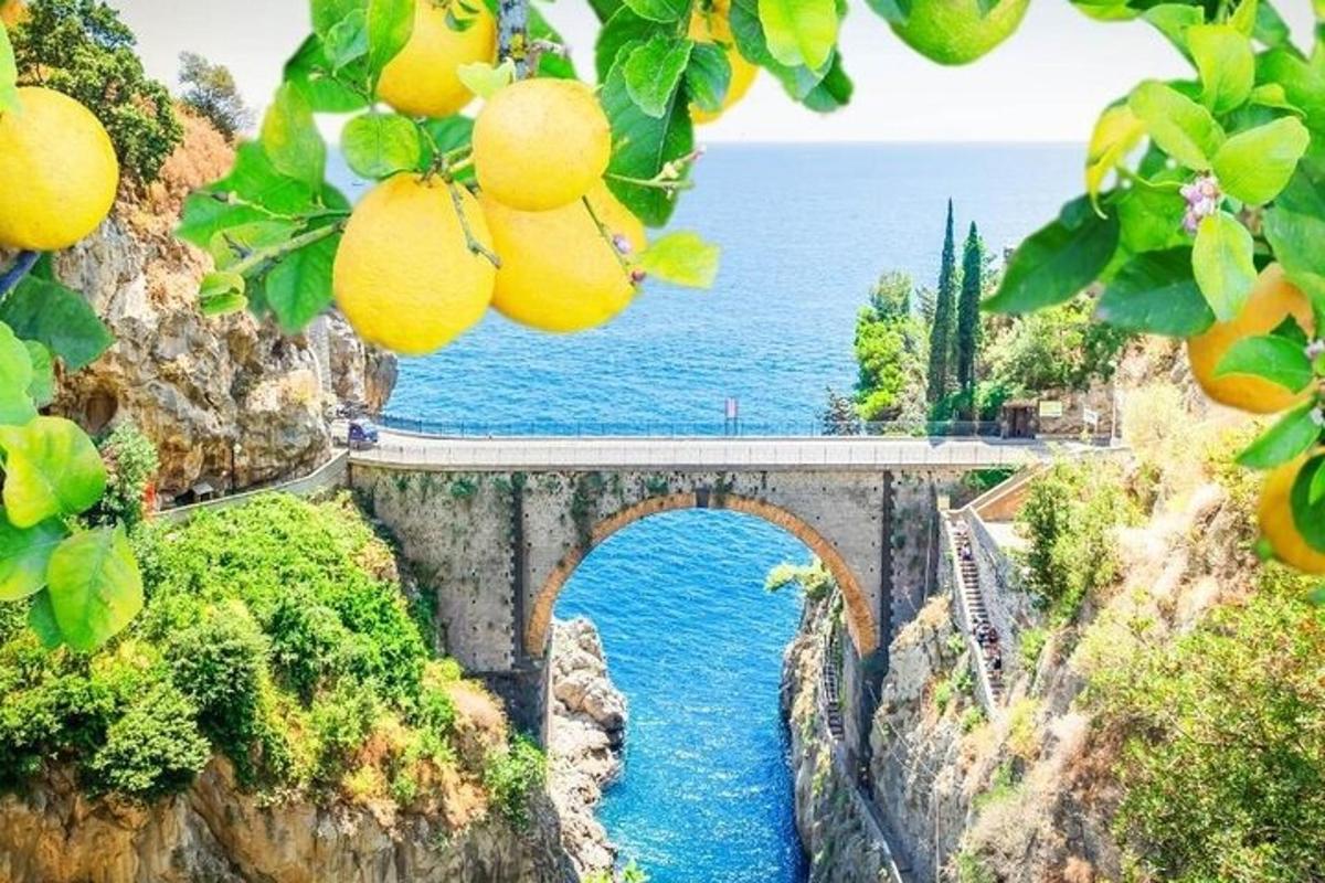 横跨河流的桥
