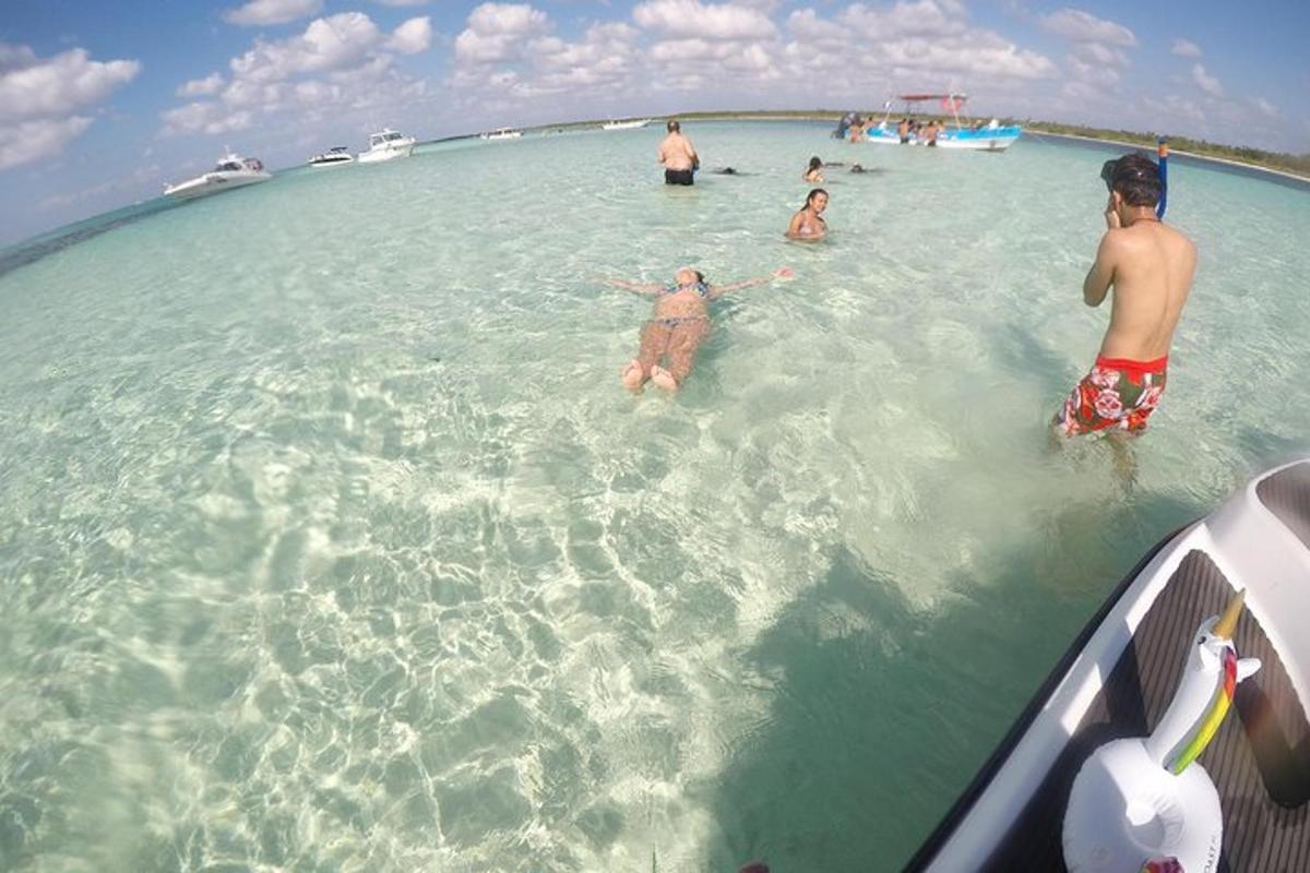 skupina lidí ve vodě v oceánu