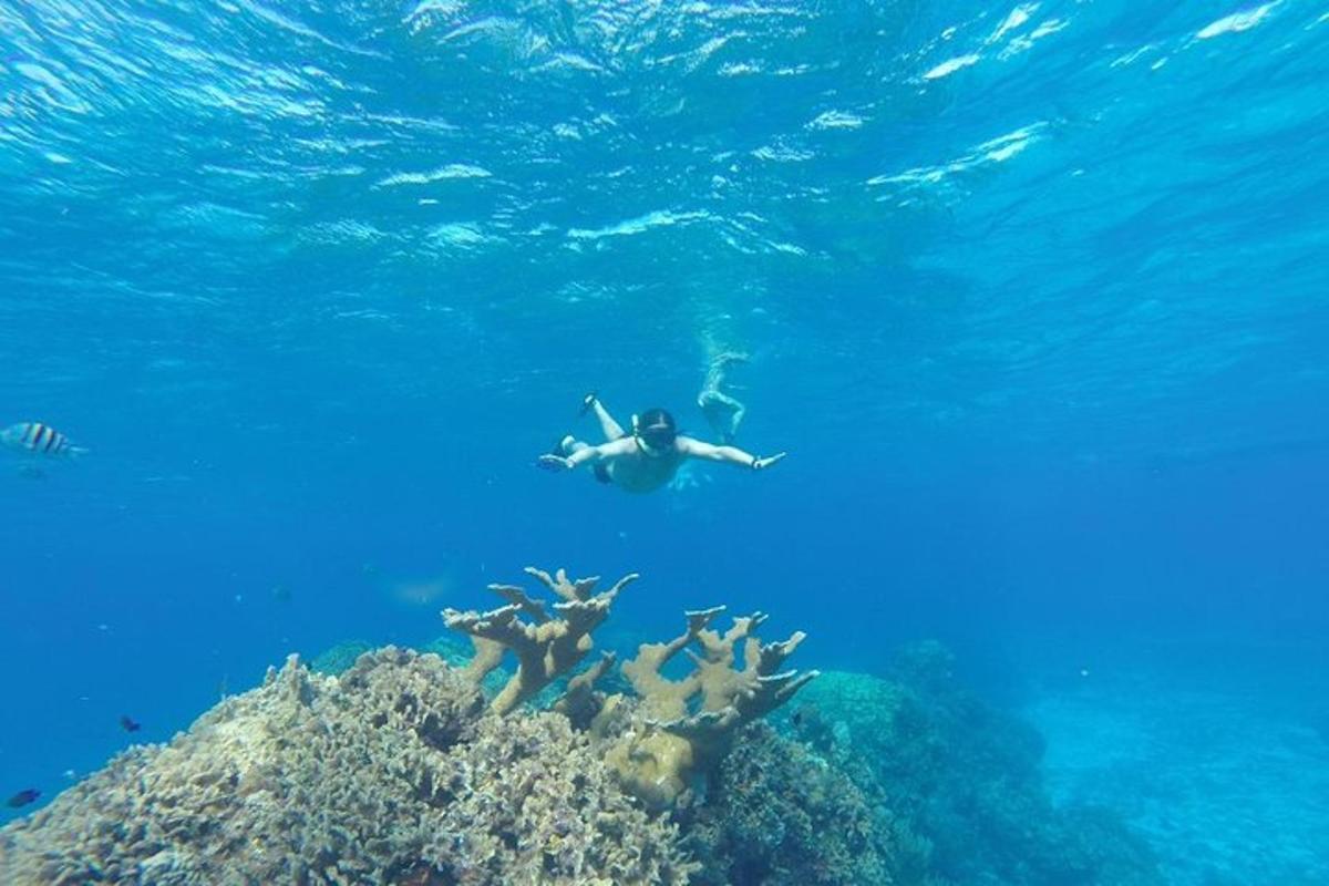 osoba plavající přes útes v oceánu