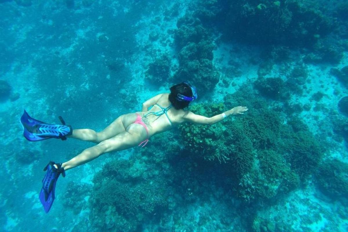 žena plave v oceánu s rejnokem