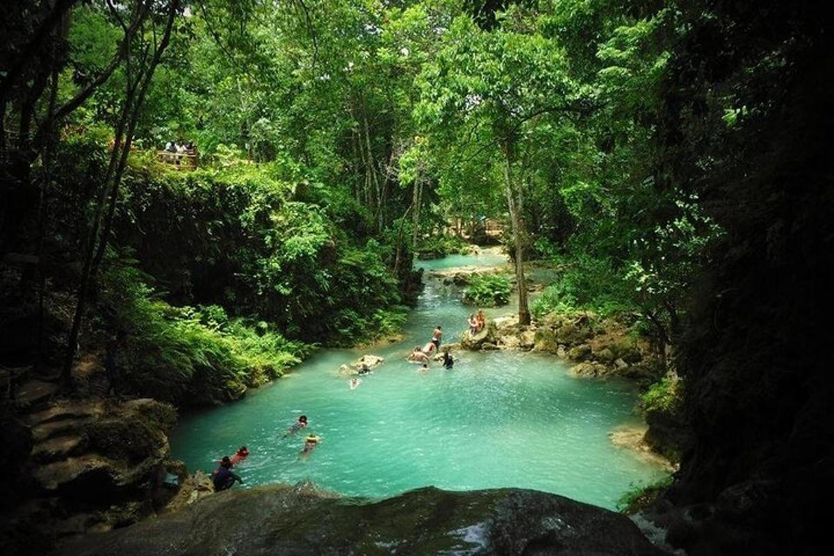 un gruppo di persone che nuotano in un fiume in una foresta